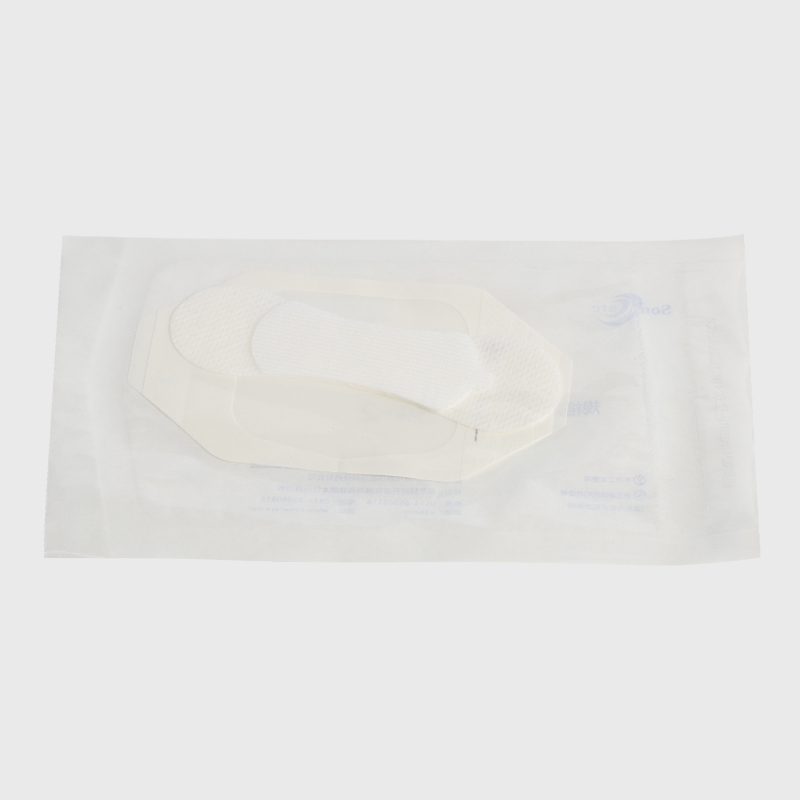 Dressing Securement Catheter