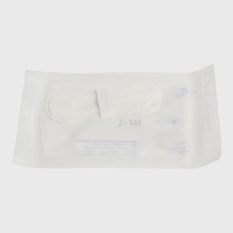 Dressing Securement Catheter