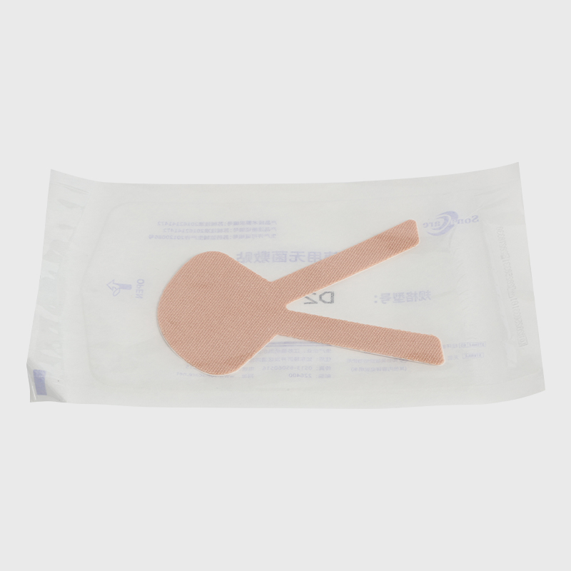 Dressing Securement Catheter